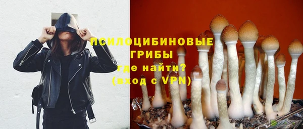 винт Гусев