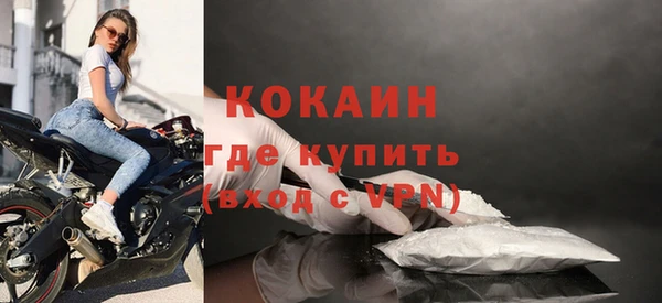 винт Гусев