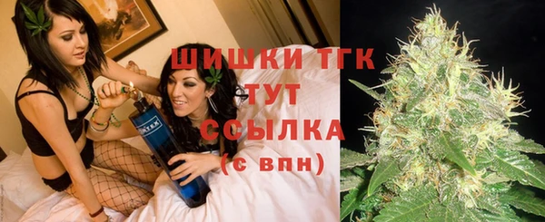 винт Гусев