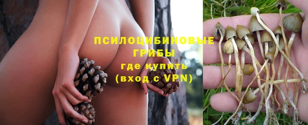 кокаин Гусь-Хрустальный